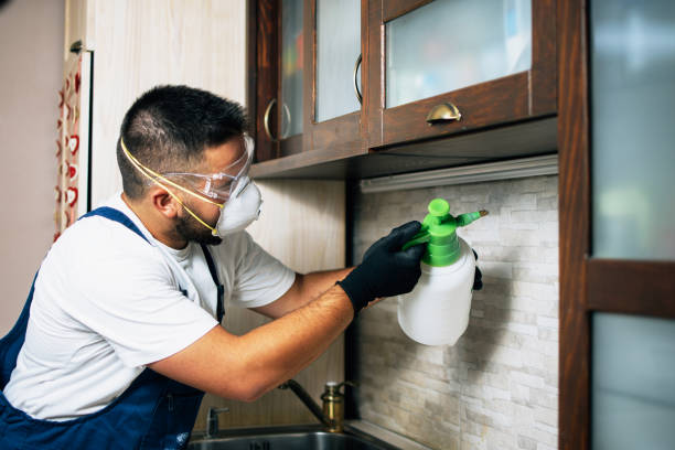 Reliable North Merritt Island, FL Pest Control Solutions
