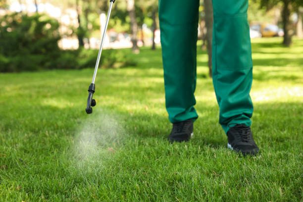 Best Emergency Pest Control  in North Merritt Island, FL