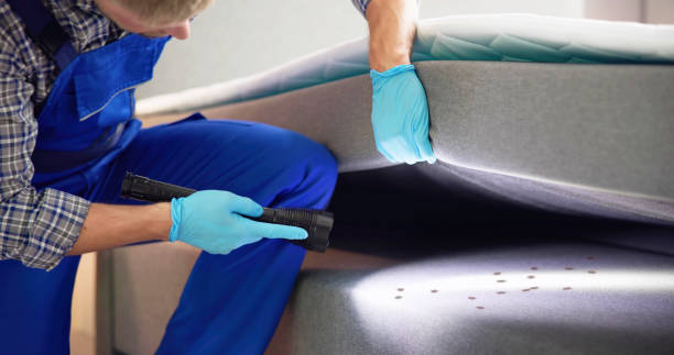 Best Best Pest Control Companies  in North Merritt Island, FL