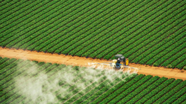 Pest Prevention Services in North Merritt Island, FL