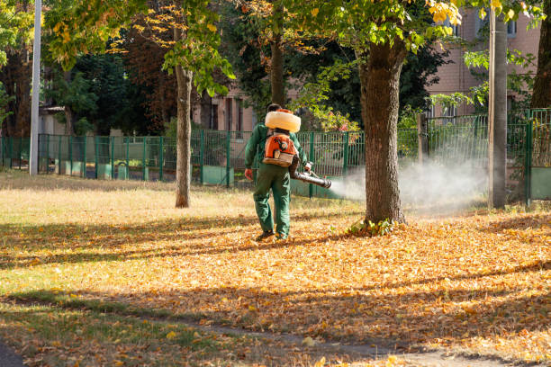 Best Bed Bug Extermination  in North Merritt Island, FL